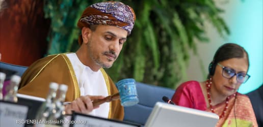 Governments adopt UNEA-7 resolution on critical minerals and metals