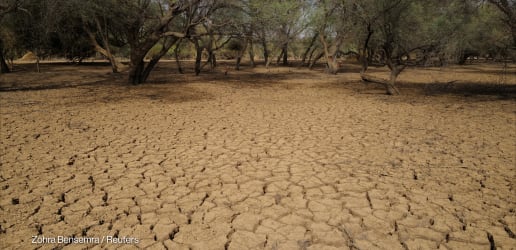 Arab-backed food security platform moves toward first funding round