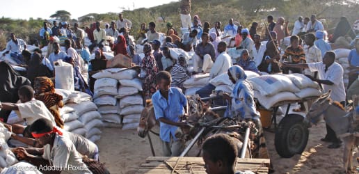 US freezes aid to Somalia over dispute on destroyed WFP warehouse