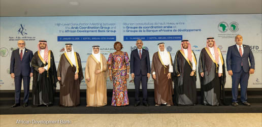 AfDB and Arab financiers move toward closer cooperation