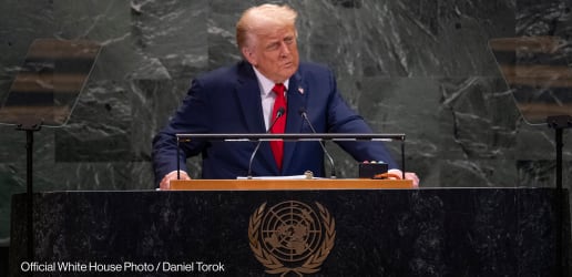 Making sense of the US withdrawal from 66 international organizations  