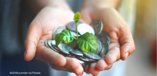 The problem with ‘zombie funds’