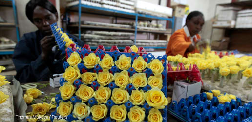 Trump signs one-year AGOA extension, preserving US-Africa trade program