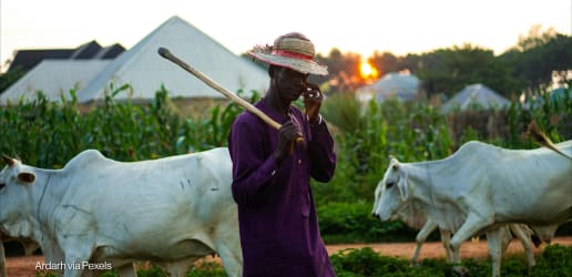 A food-secure world starts with sustainable productivity