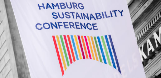 Special edition: Germany steps into the void USAID left behind