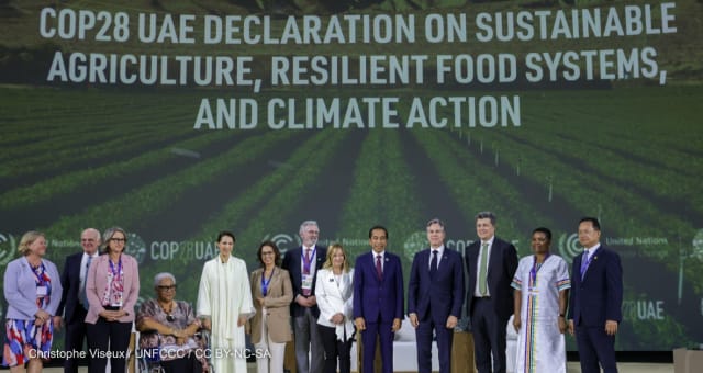 COP28: Cop 28 closes with food system action omitted: Food experts