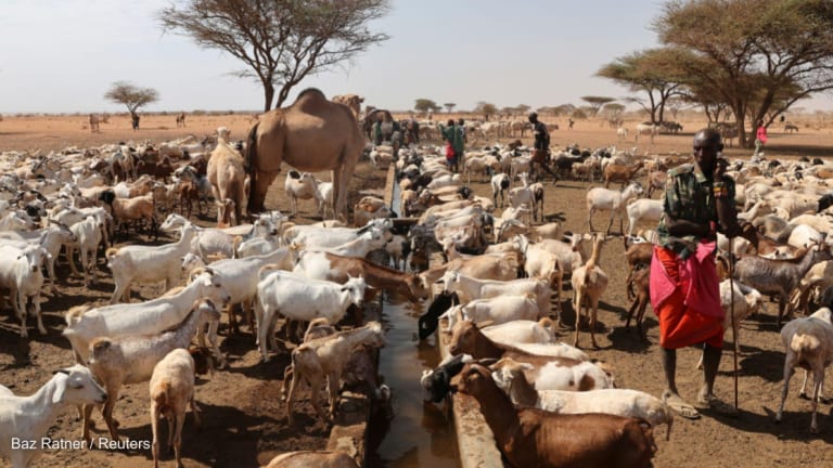 CGIAR launches initiative to build food security policy in 6 countries