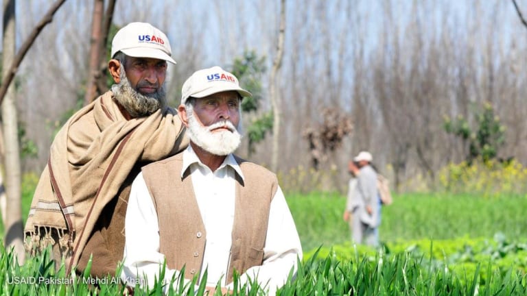 Which USAID offices saw the most cuts? 