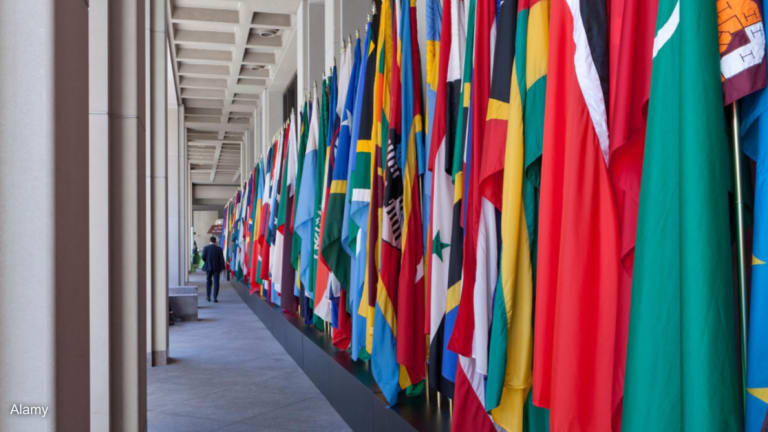 Who’s winning the World Bank’s consulting contracts?