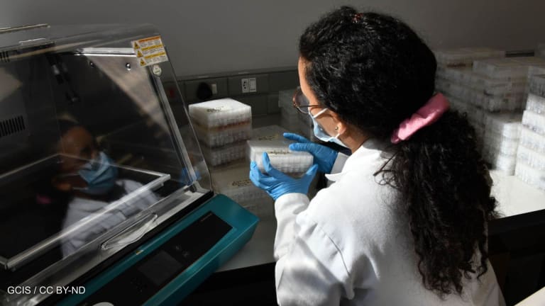 Opinion: Global health is at a crossroads, emerging as a new asset class