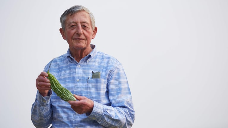 Seed pioneer Simon Groot leaves legacy of farmer-focused innovation