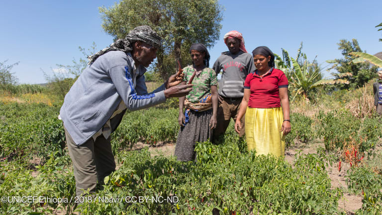 Africa needs agroecology, not cosmetic transformations