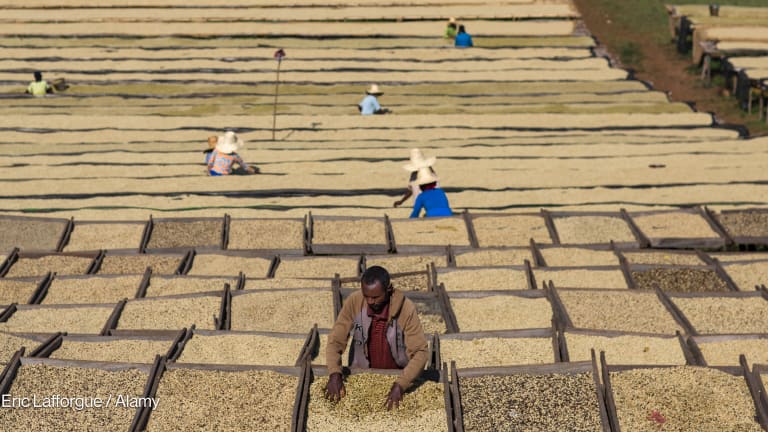 Europe is missing its moment in Africa