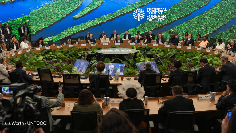 Related Stories - The untold origins of COP30’s flagship multibillion-dollar forest facility