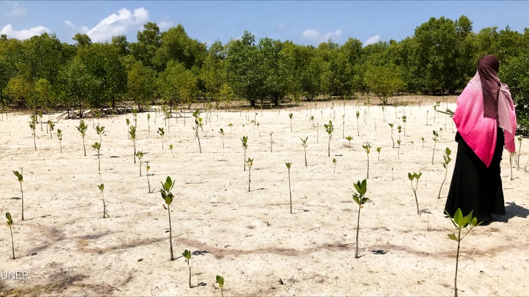 Related Stories - What did the Global Environment Facility spend $6.4 billion on?