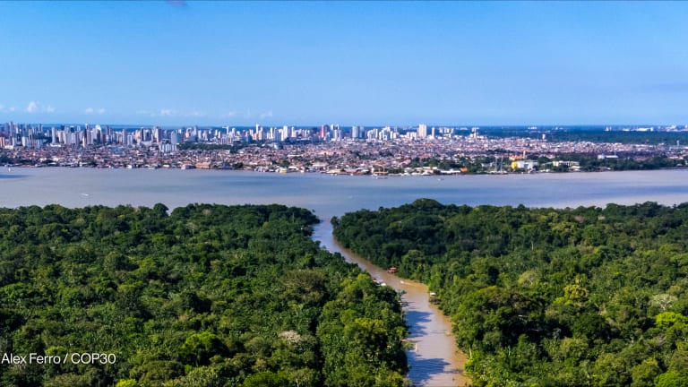 Related Stories - Special edition: Forests, finance, and power define the stakes at COP30