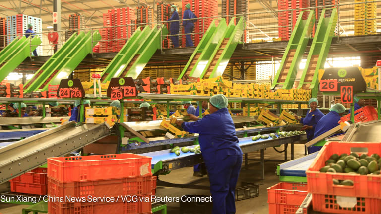 Related Stories - Africa can feed the world if the G20 frees it from debt