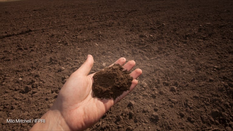 Related Stories - Soils hold 45% more carbon than thought, study finds 