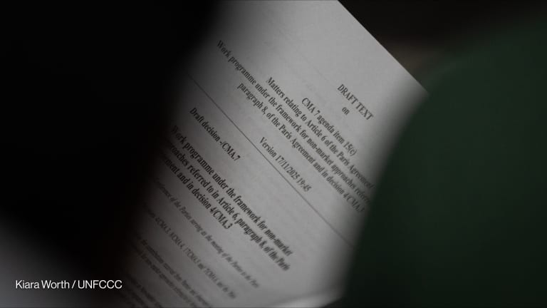 Related Stories - COP30 reporters' notebook: Day 10