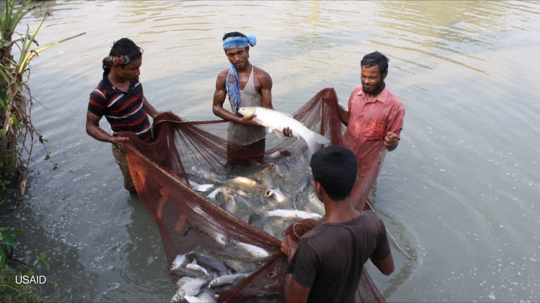 Related Stories - The US is breaking a lifesaving global food aid system