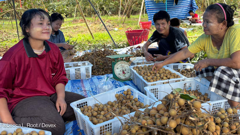 Related Stories - From camps to crops: US aid cuts reshape refugee life in Thailand