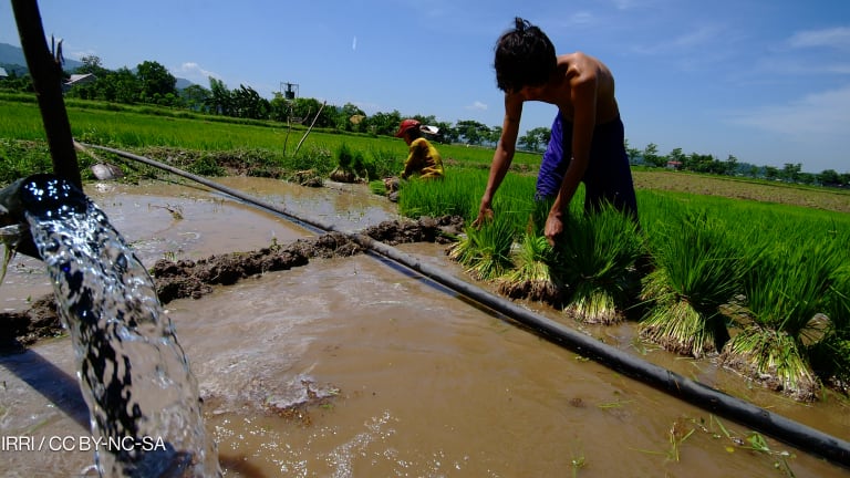 Related Stories - Amid water stress, experts want the world to get serious about irrigation