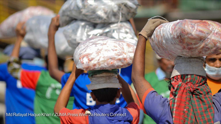 Related Stories - How a global cold-chain revolution can boost food security