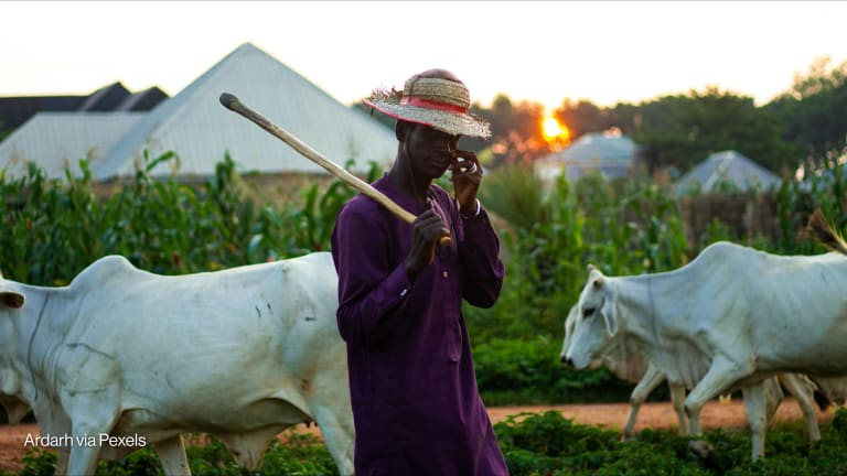 Related Stories - A food-secure world starts with sustainable productivity