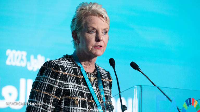 Related Stories - WFP Executive Director Cindy McCain to step down, citing health concern