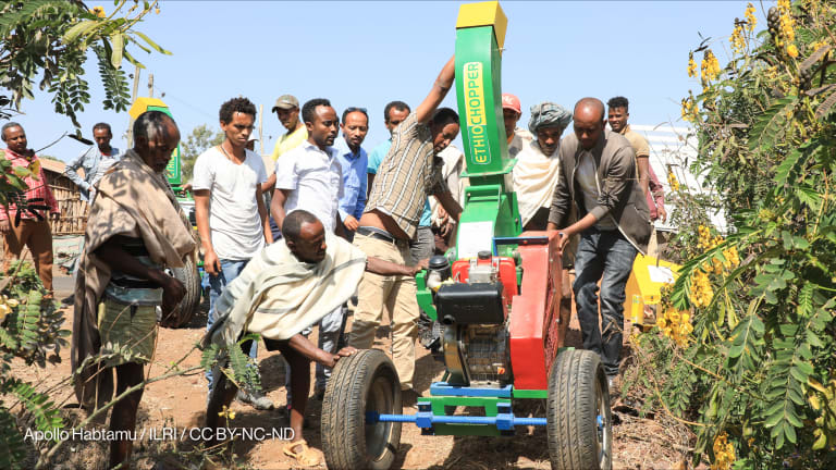 Related Stories - Higher ed and social enterprise are critical to address the USAID vacuum