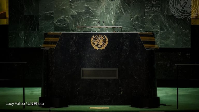 Related Stories - The future of the UN? Fuzzy