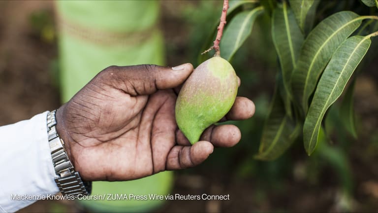 Related Stories - When Feed the Future shut down, these researchers built something new