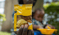 Can a powdered egg a day keep malnutrition away? Uganda thinks so