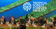 Exclusive: EBRD and AIIB consider investing in Brazil's forest fund