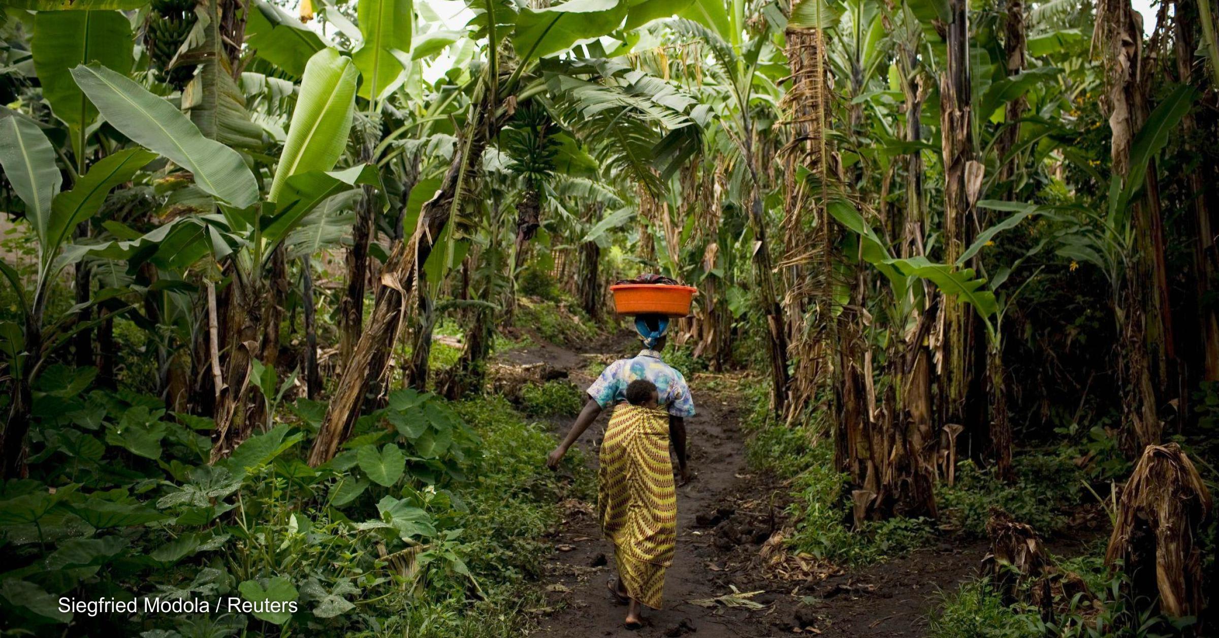Is unconditional cash the missing link in maternal and child survival?
