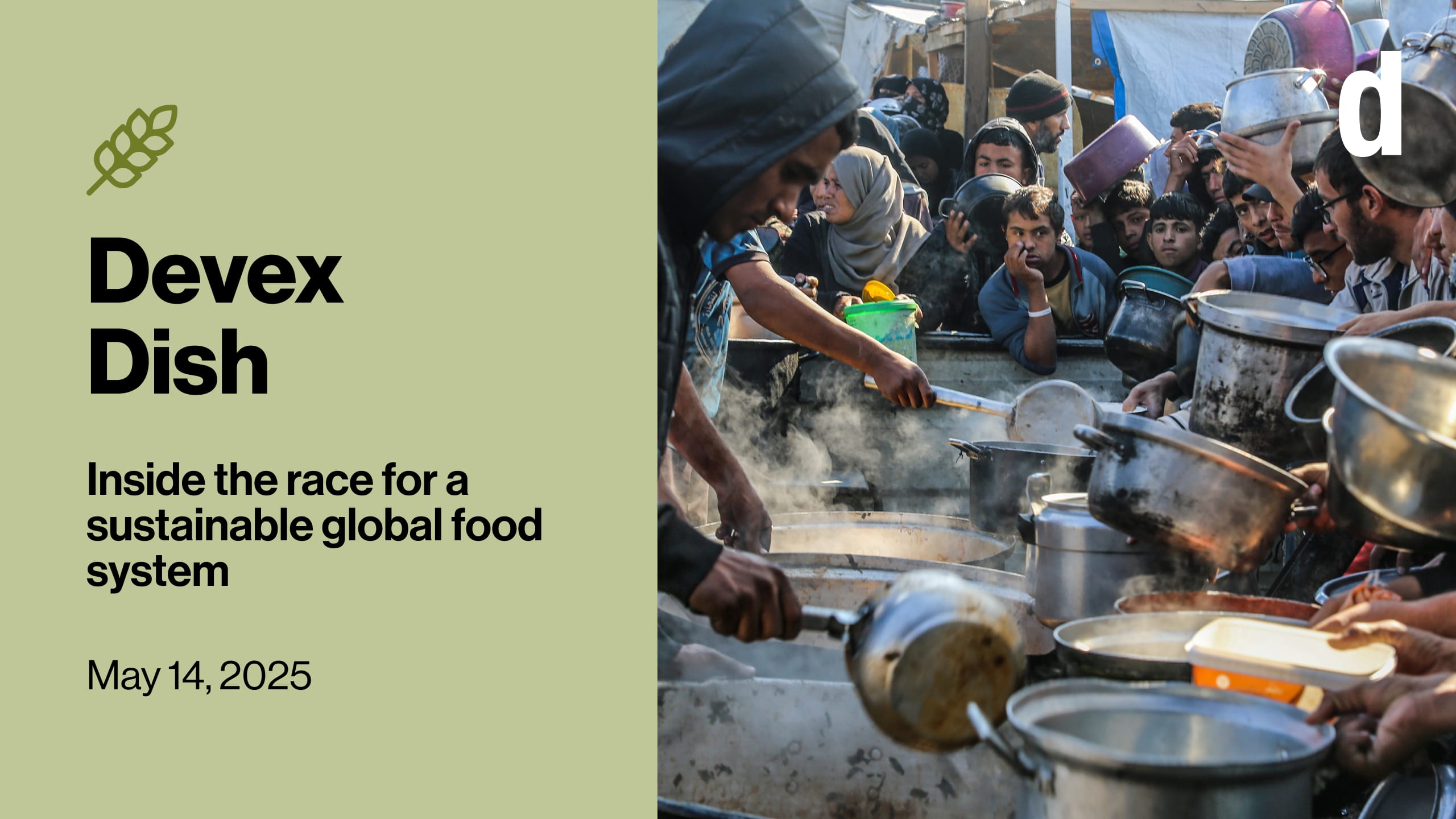Devex Dish: Gaza edges toward famine, with food stuck at the border