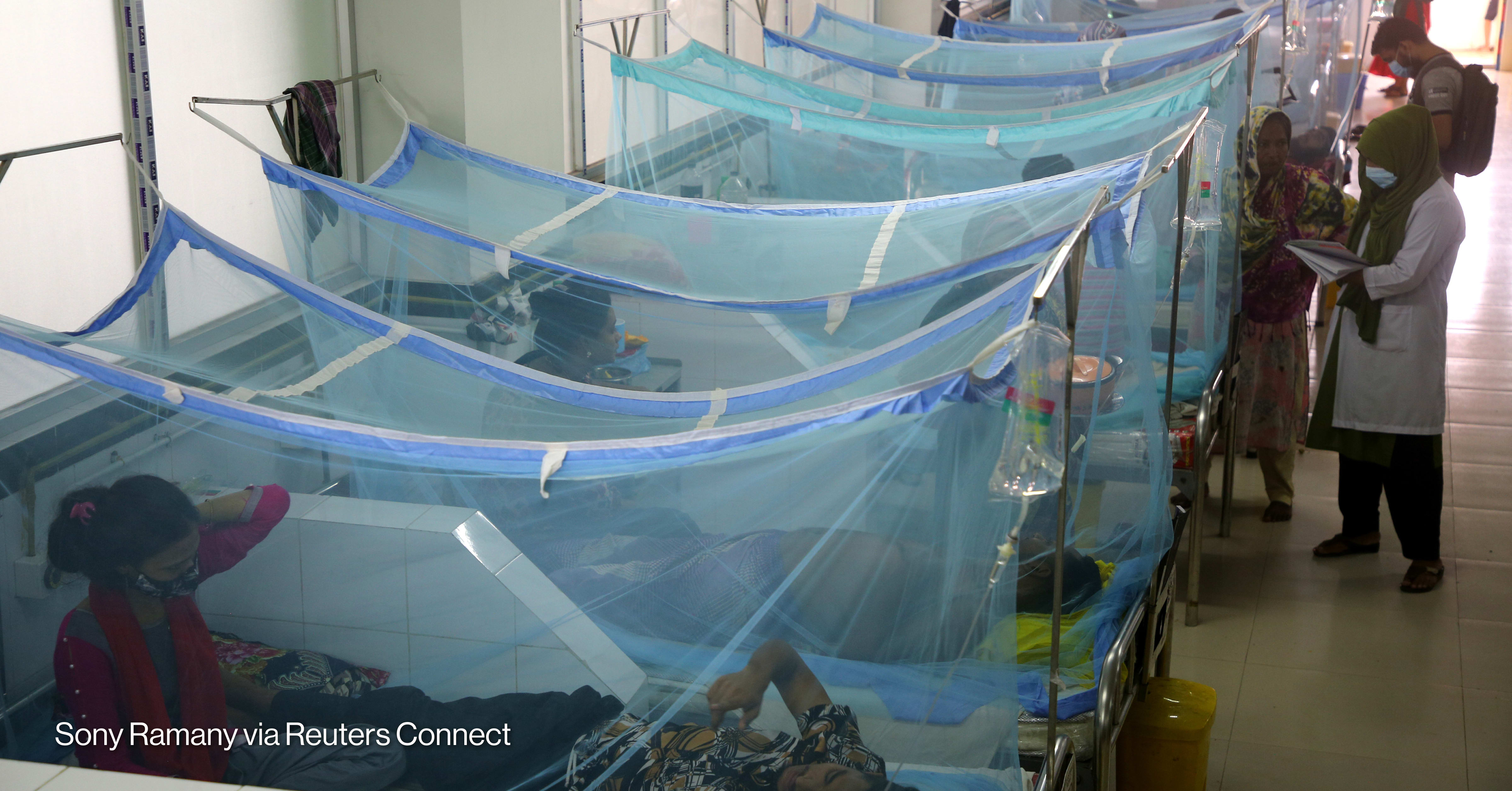 New ADB platform aims to help end malaria, TB, and dengue in Asia-Pacific