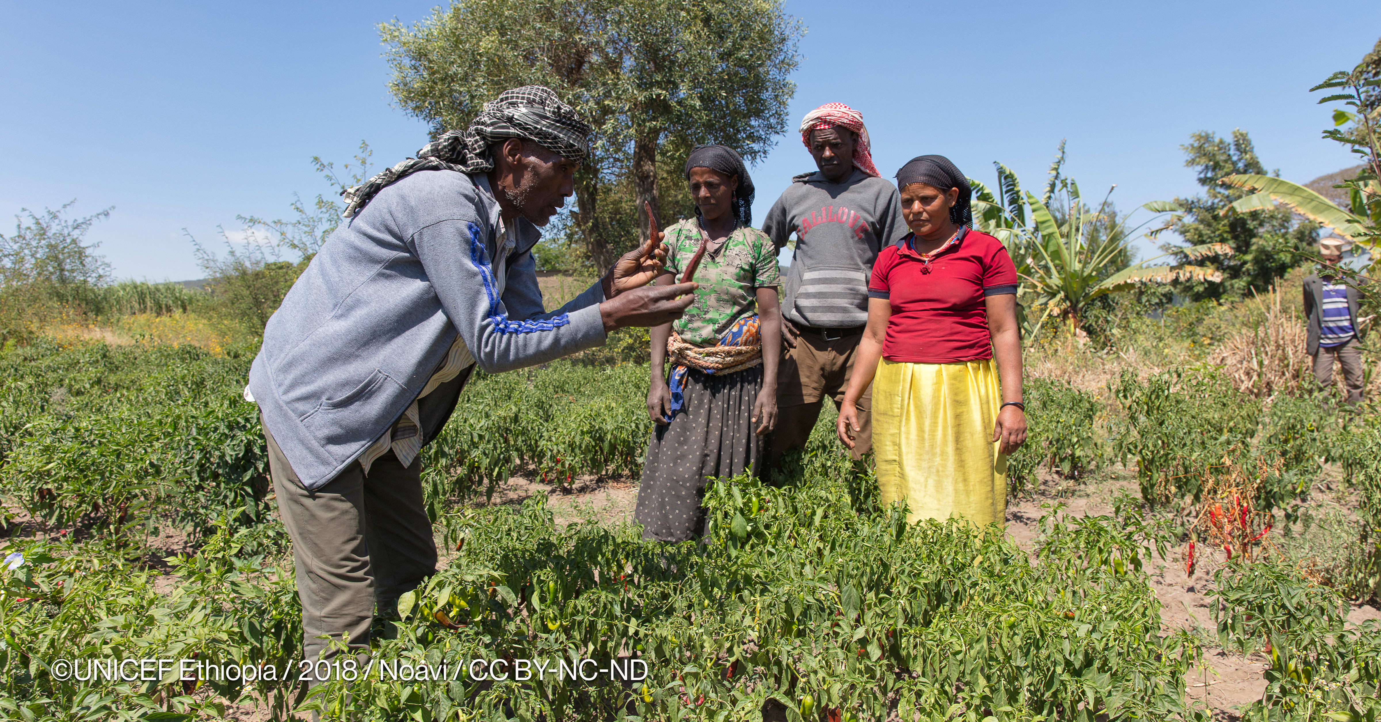 Africa needs agroecology, not cosmetic transformations