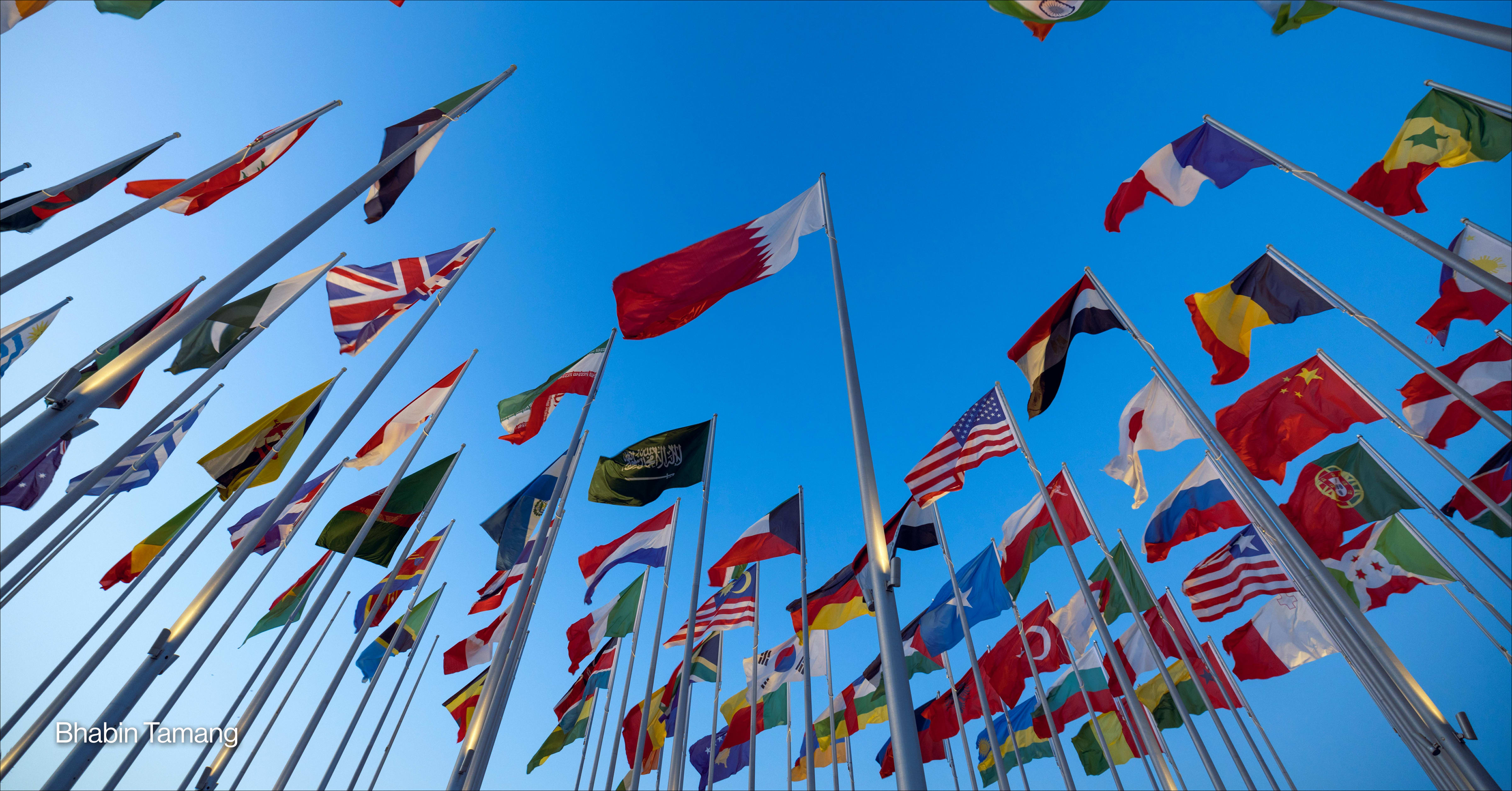 Global public investment shows international cooperation can succeed