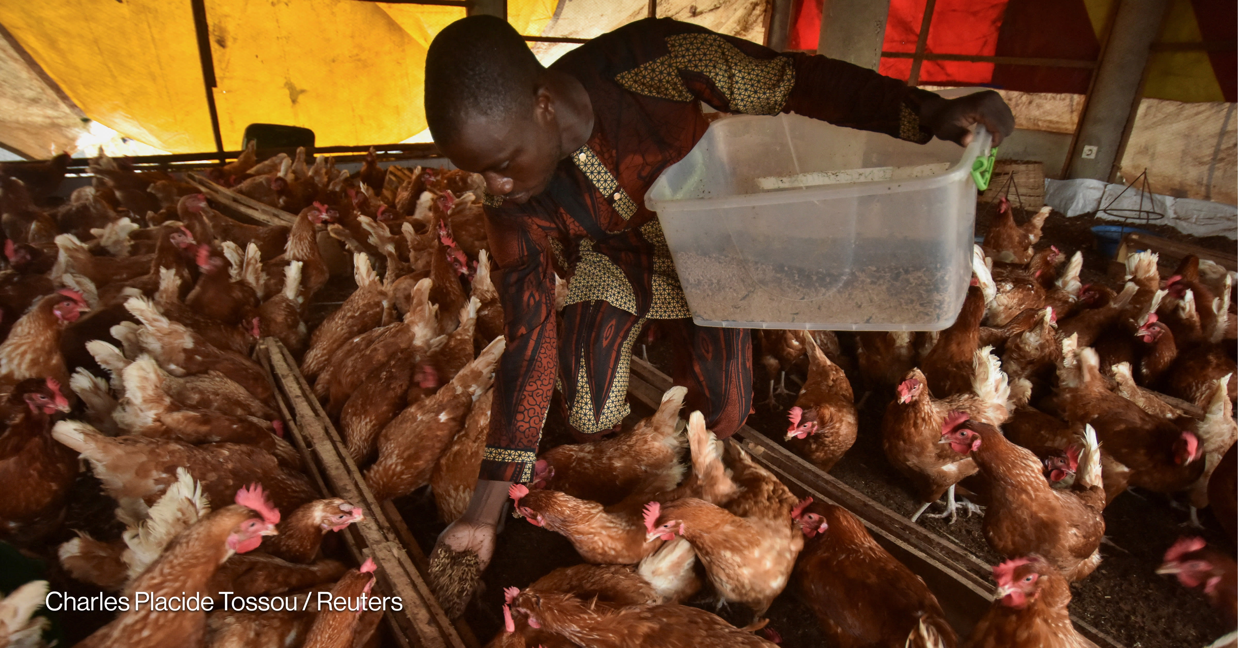 How do we responsibly meet the growing demand for meat, milk, and eggs?