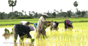 Opinion: Food is not a side issue. It is central to all we care about