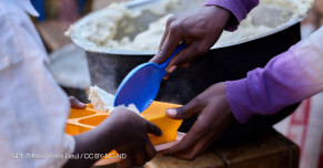 The number of hungry people worldwide is falling, says UN report