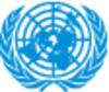 United Nations Department of Safety and Security (UNDSS)