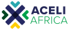 Aceli Africa