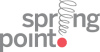 Spring Point Partners