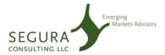 SEGURA Consulting LLC