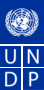 United Nations Development Programme (UNDP)