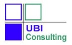 UBI Consulting