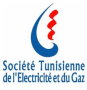 Tunisian Company of Electricity and Gas (Societe Tunisienne de l'Electricite et du Gaz - STEG)