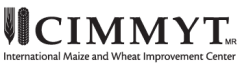 Centro Internacional de Mejoramiento de Maiz y Trigo (International Maize and Wheat Improvement Center) (CIMMYT)